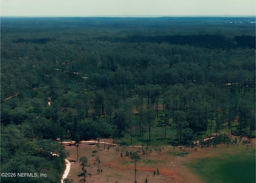 Natural landscape and outdoor views near  in Welaka (Image 6).