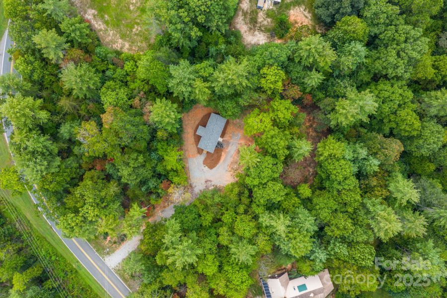 Leave the natural setting with mountain laurels and trees or make this blank canvas your work of art!!