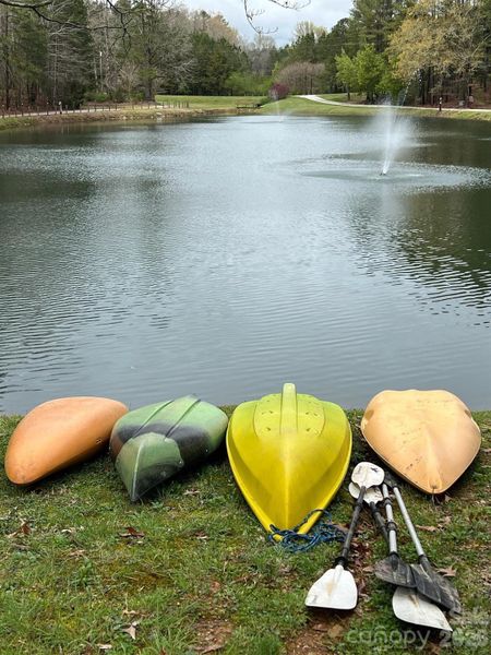 Ponds for fun on the water.