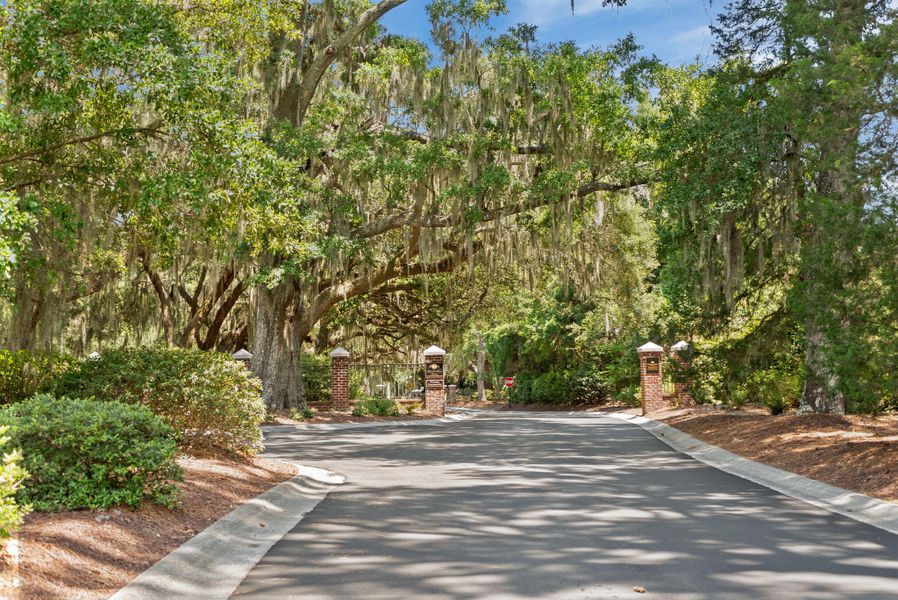 Natural landscape and outdoor views near in Johns Island (Image 51). Natural landscape and outdoor views near in Johns Island (Image 51).