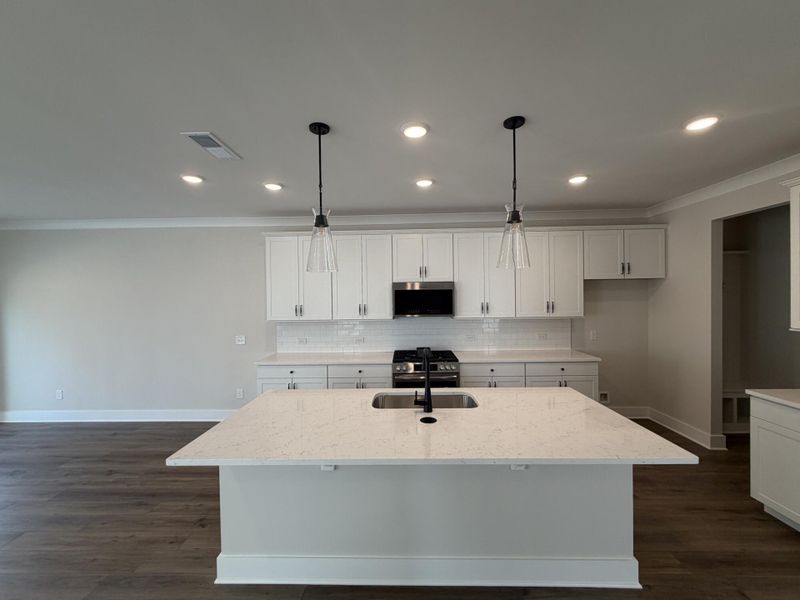 Furnished interior view inside a new home in Villas at Dawsonville Townhomes, Dawsonville (Image 4).