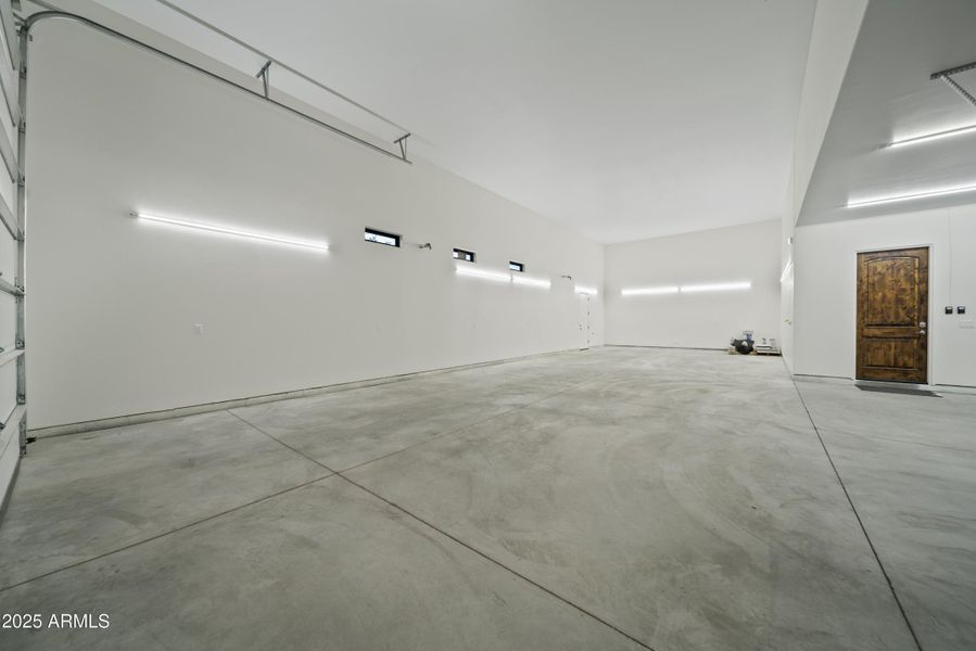 Lupine Ln Reshoot 00009