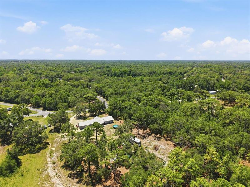 Natural landscape and outdoor views near in Homosassa (Image 57). Natural landscape and outdoor views near in Homosassa (Image 57).
