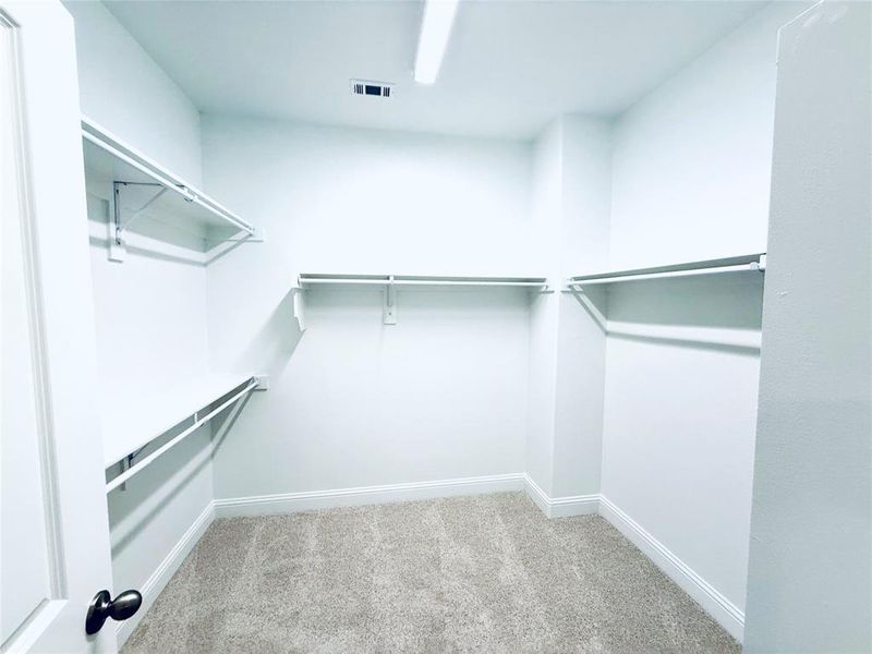 Spacious walk-in closet featuring light-toned carpet flooring, white walls, and built-in shelving with hanging rods