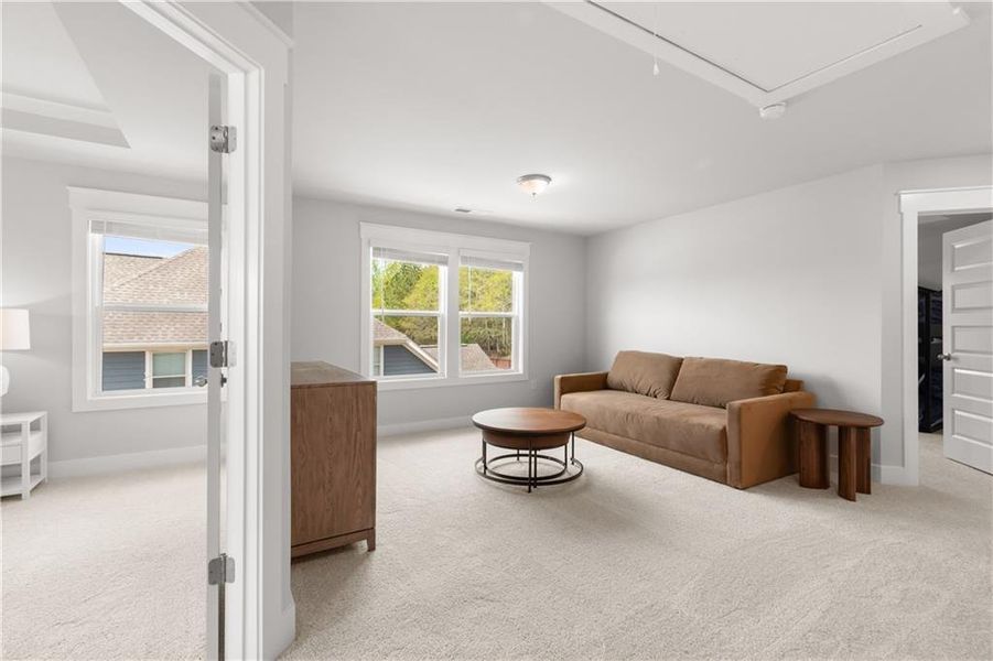 Furnished interior view inside a new home in Brush Arbor, McDonough (Image 3).
