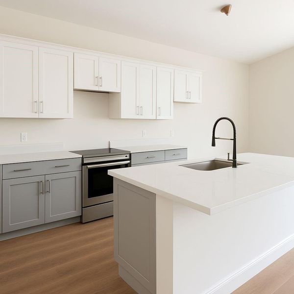 this image is a rendering