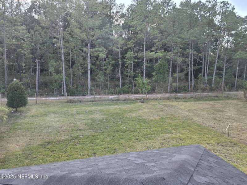 Natural landscape and outdoor views near Hyland Trail in Green Cove Springs (Image 66).