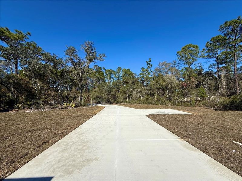Natural landscape and outdoor views near  in Eustis (Image 49).