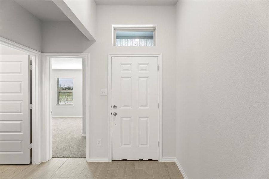 03. 116 Coyote - Entry 03. 116 Coyote - Entry