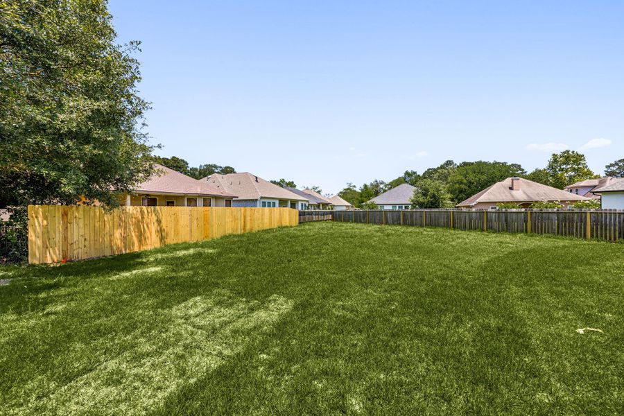 Backyard