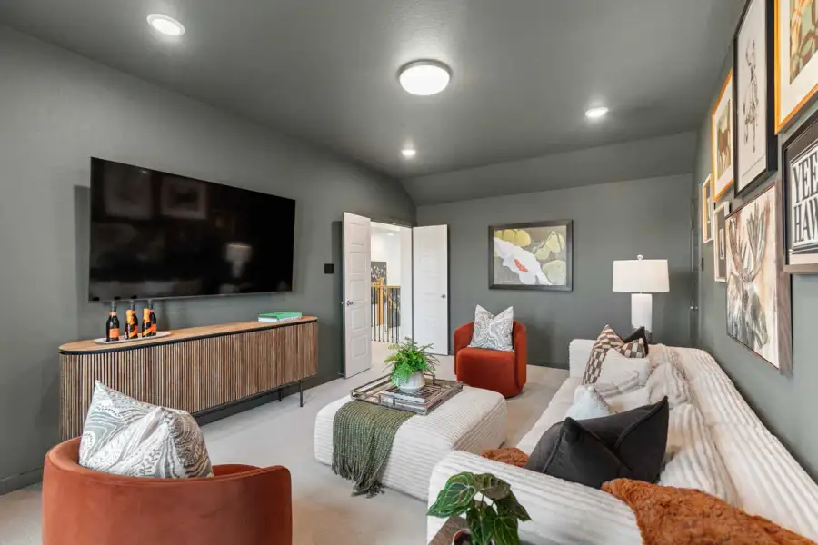 Entertainment Room