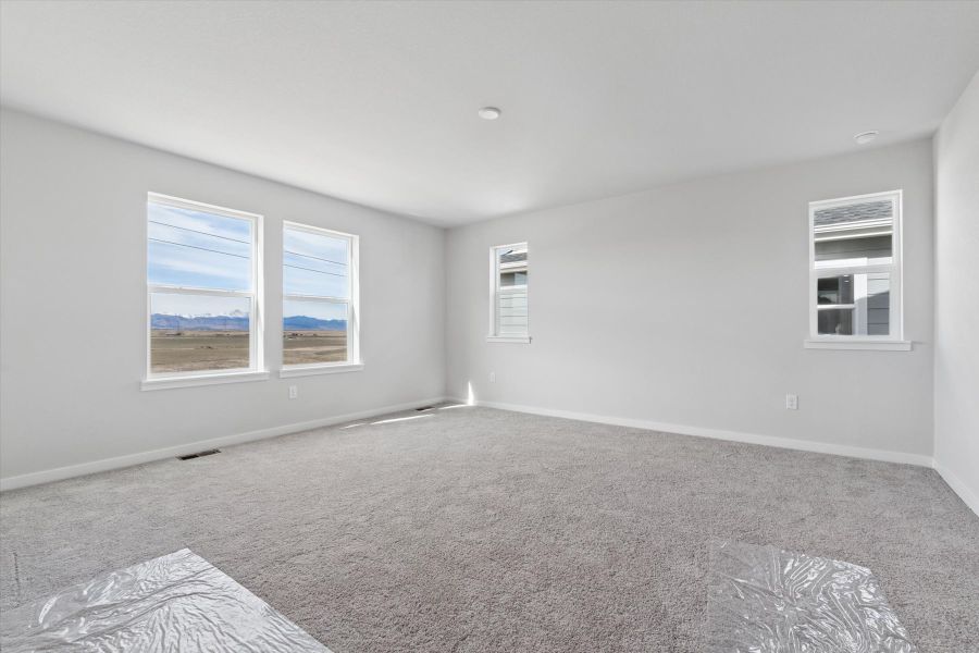 A room with a carpet and windows. A room with a carpet and windows.