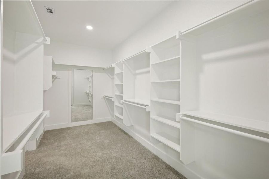 Spacious closet featuring light colored carpet