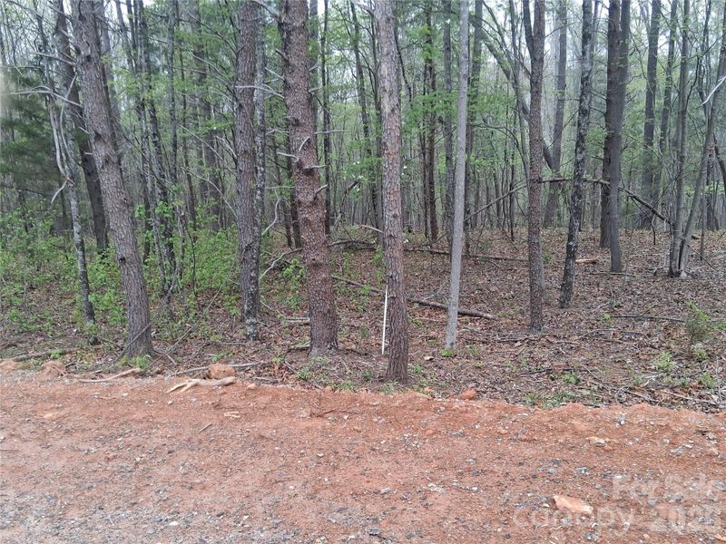 Natural landscape and outdoor views near  in Morganton (Image 15).