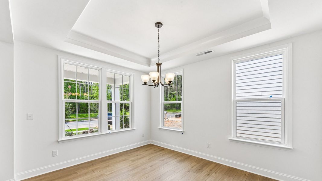 The Stonehaven by DRB Homes in McBride, Indian Trail, NC - Dining Room with Tray Ceilings