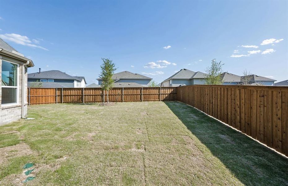 Large fenced-in backyard