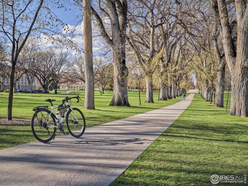 Natural landscape and outdoor views near Northfield - The Flats in Fort Collins (Image 19).