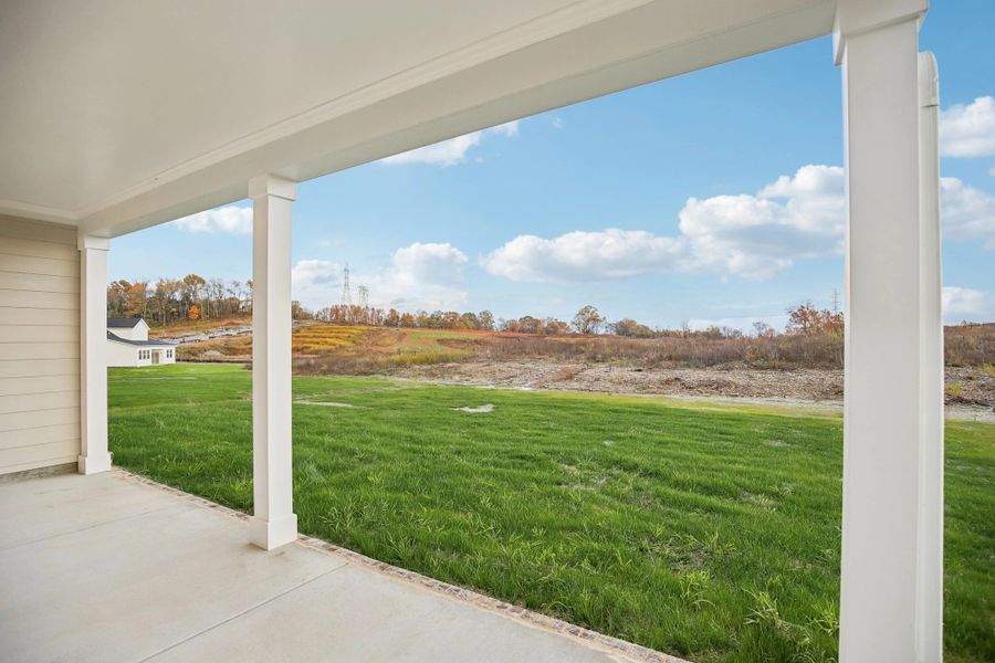 Exterior details and patio area of a home in Willow Landing, Mount Juliet (Image 31).