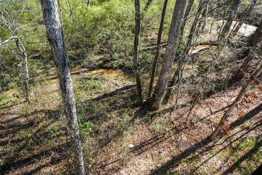 Natural landscape and outdoor views near  in Winder (Image 58).