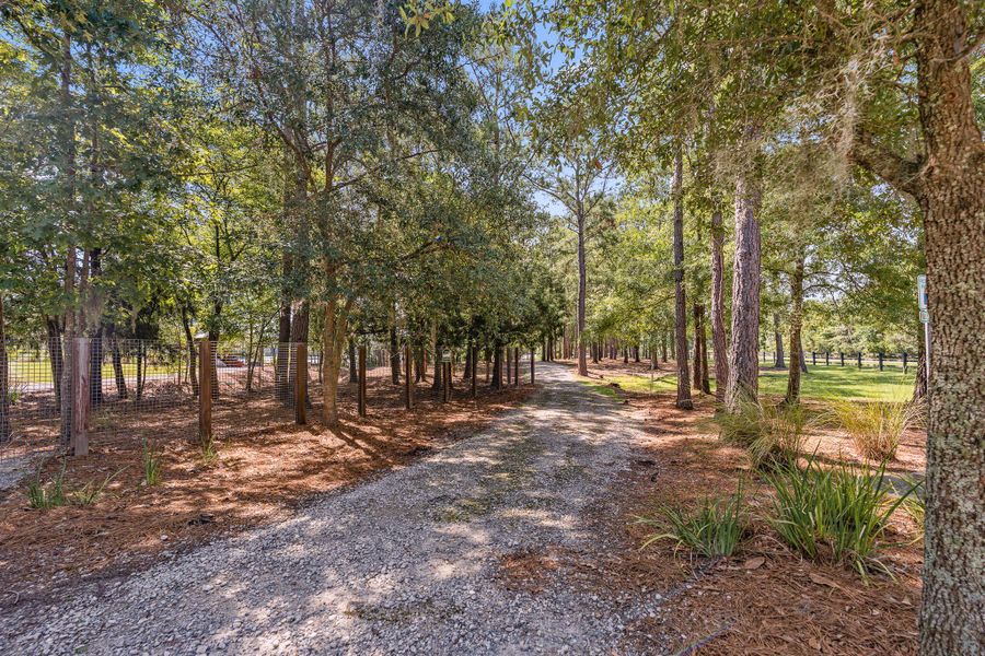Natural landscape and outdoor views near Heron's Walk at Summers Corner in Summerville (Image 55).