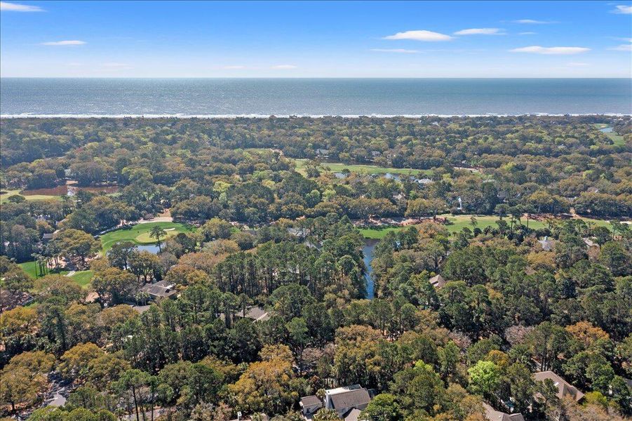 Natural landscape and outdoor views near  in Kiawah Island (Image 51).