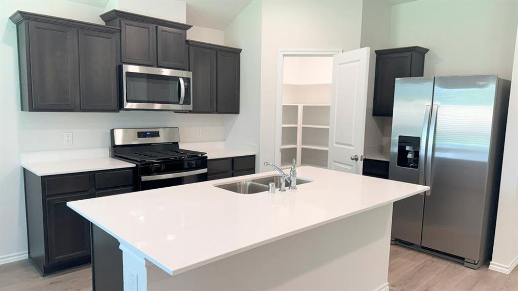 Kitchen featuring stainless steel appliances, dark cabinetry, an island with sink, and light wood-style flooring