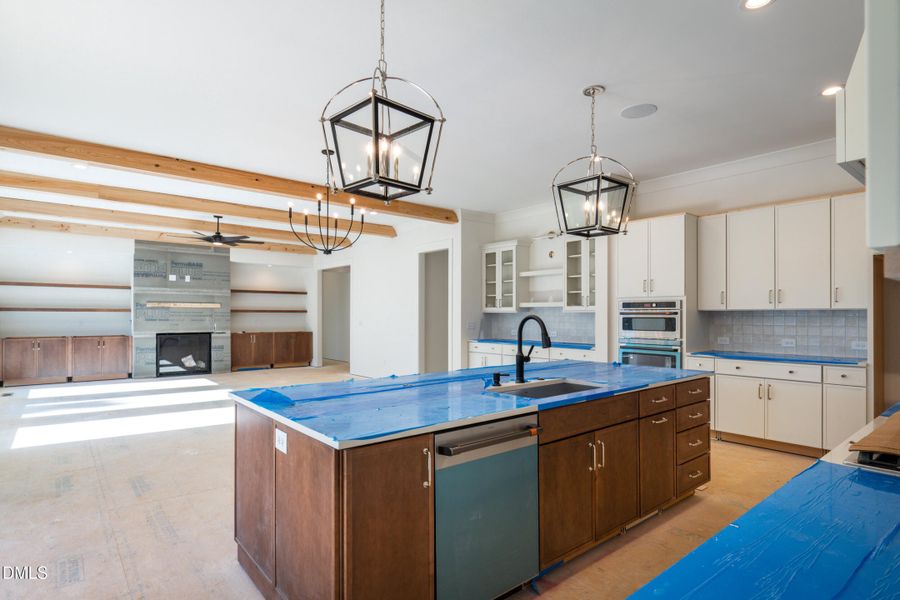 20 canvasback-6 20 canvasback-6