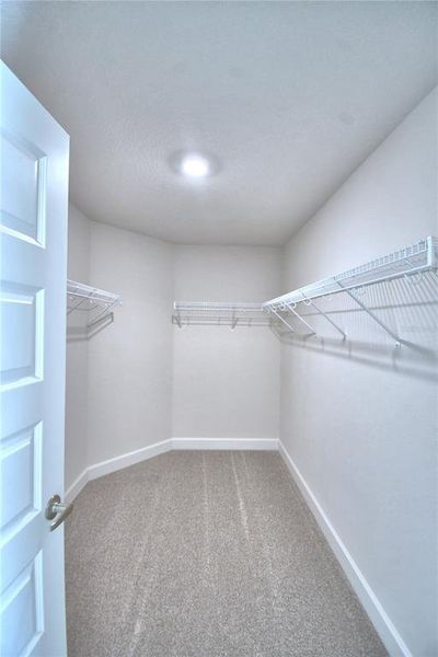 Spacious, unfurnished interior of a new home in , Auburndale (Image 56).