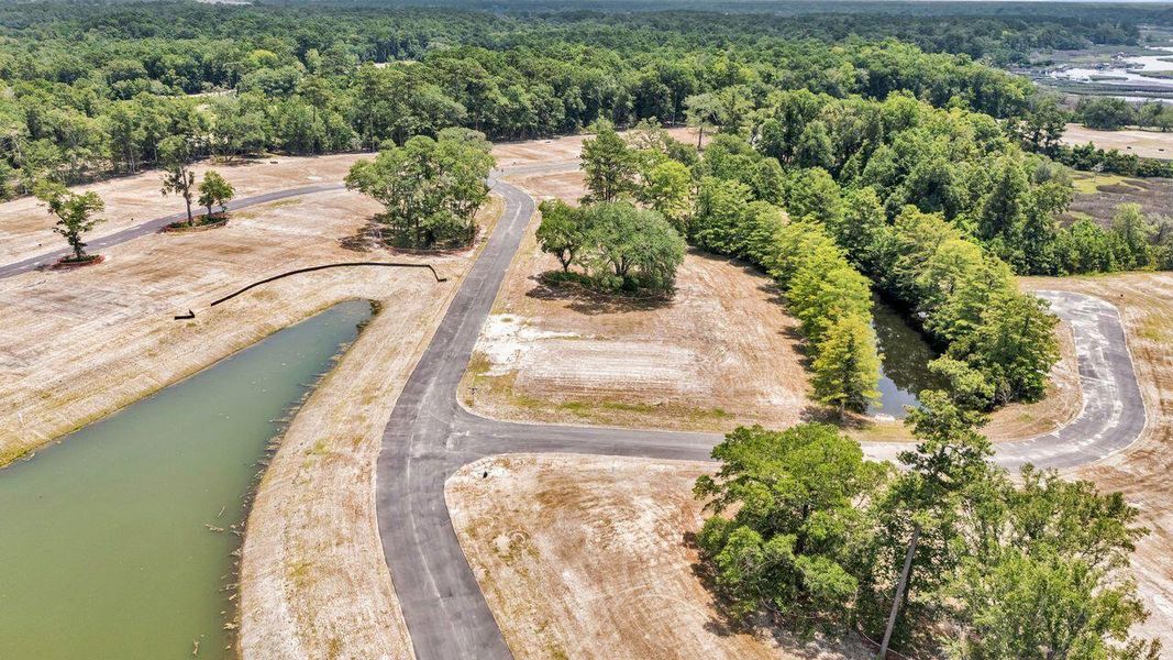 Site preparation for new homesites in Kings River Preserve, Hollywood (Image 58).