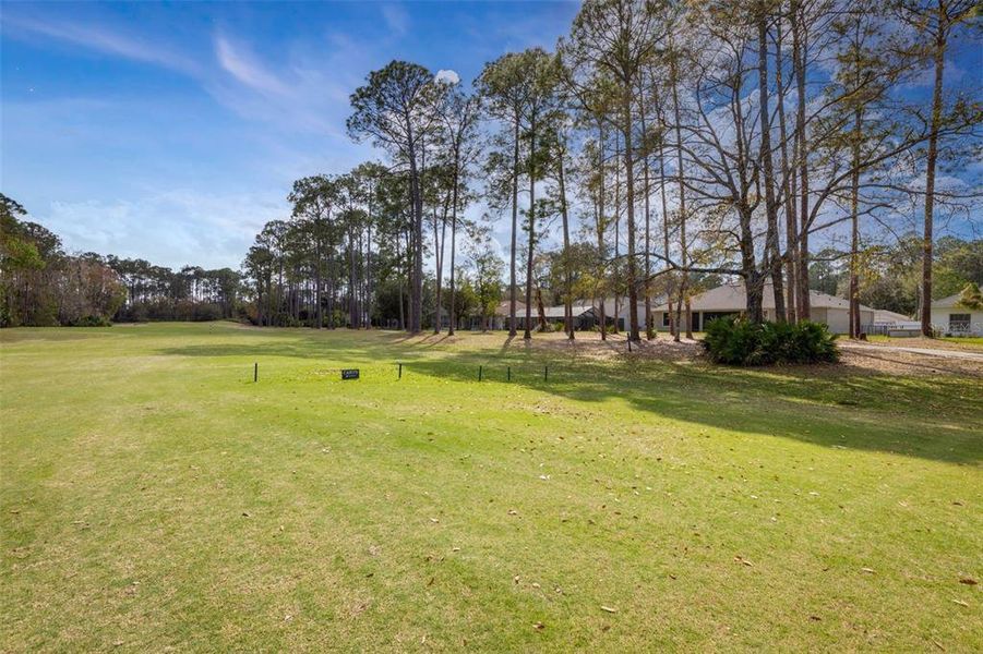 Natural landscape and outdoor views near  in Palm Coast (Image 56).