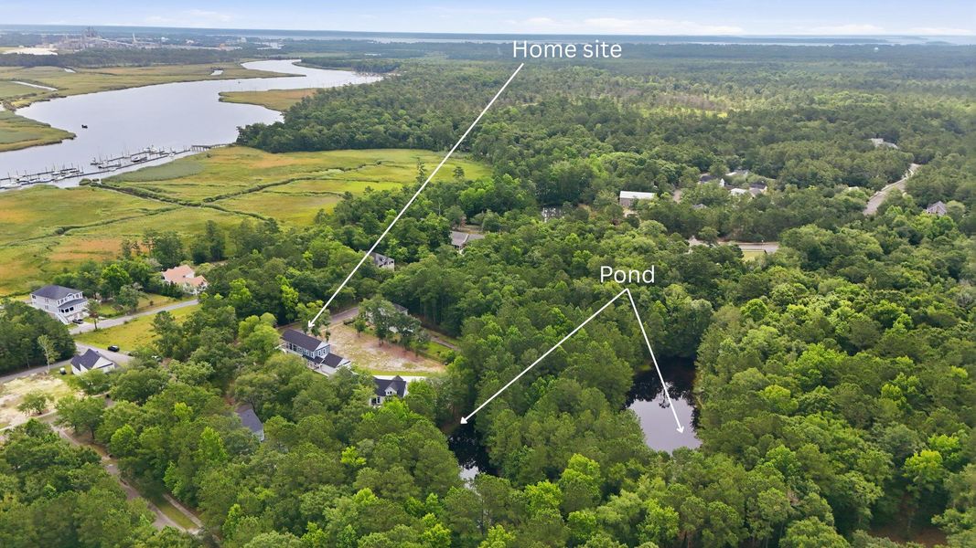 Natural landscape and outdoor views near in Georgetown (Image 58). Natural landscape and outdoor views near in Georgetown (Image 58).