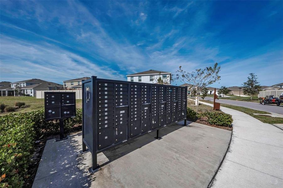 Image 65 of a home in Mangrove Manor. Image 65 of a home in Mangrove Manor.