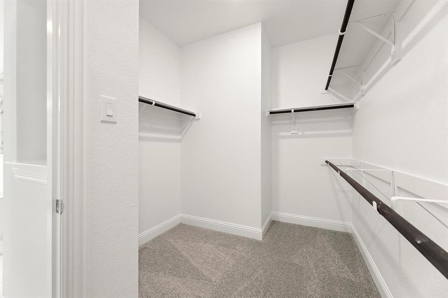 19. 520 Carlow - Closet 19. 520 Carlow - Closet