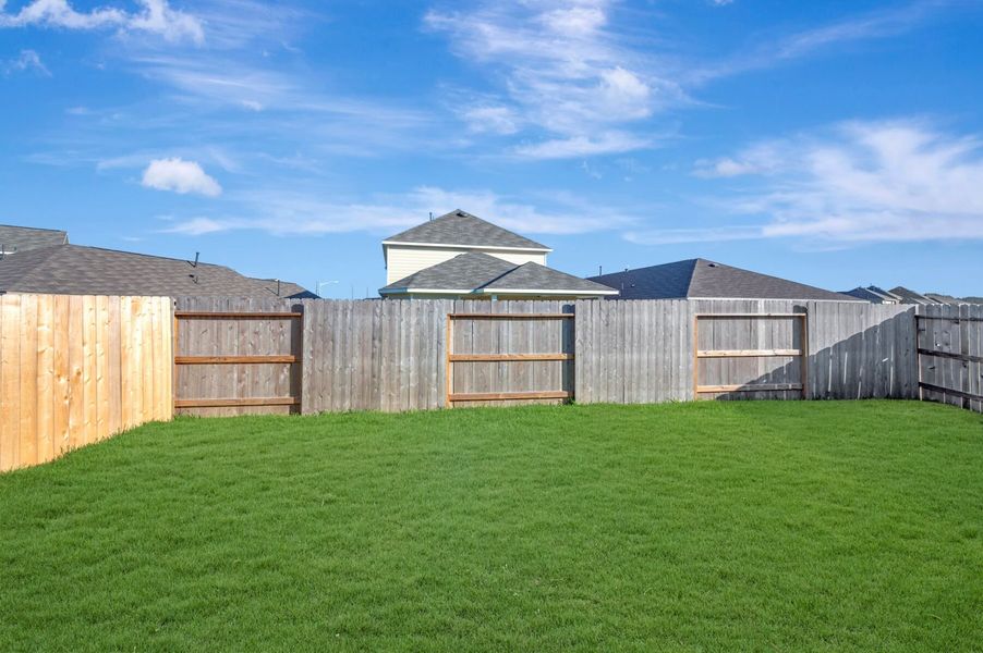 Backyard