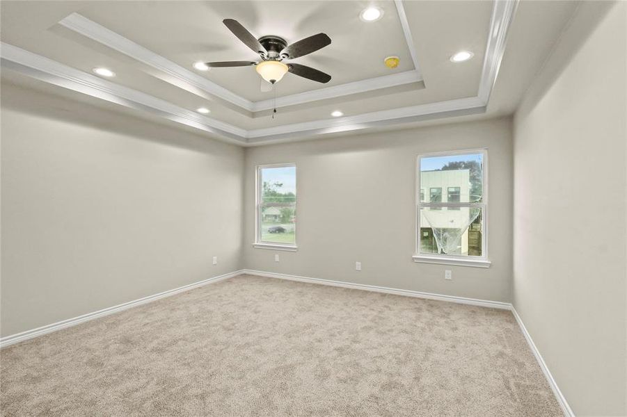 Spare room featuring plenty of natural light, a raised ceiling, and ceiling fan