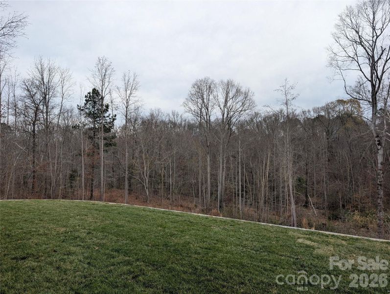 Natural landscape and outdoor views near Stoneridge Hills in Rock Hill (Image 36).