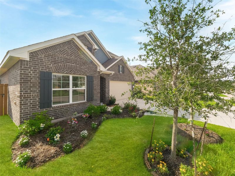 Brick Face Elevation