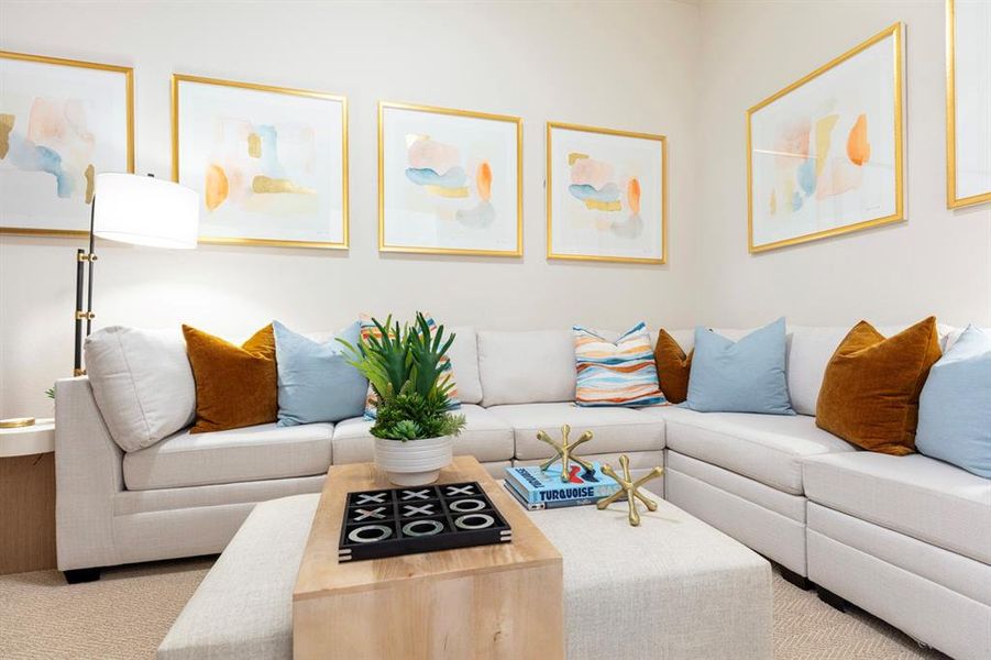 Entertainment Room Entertainment Room