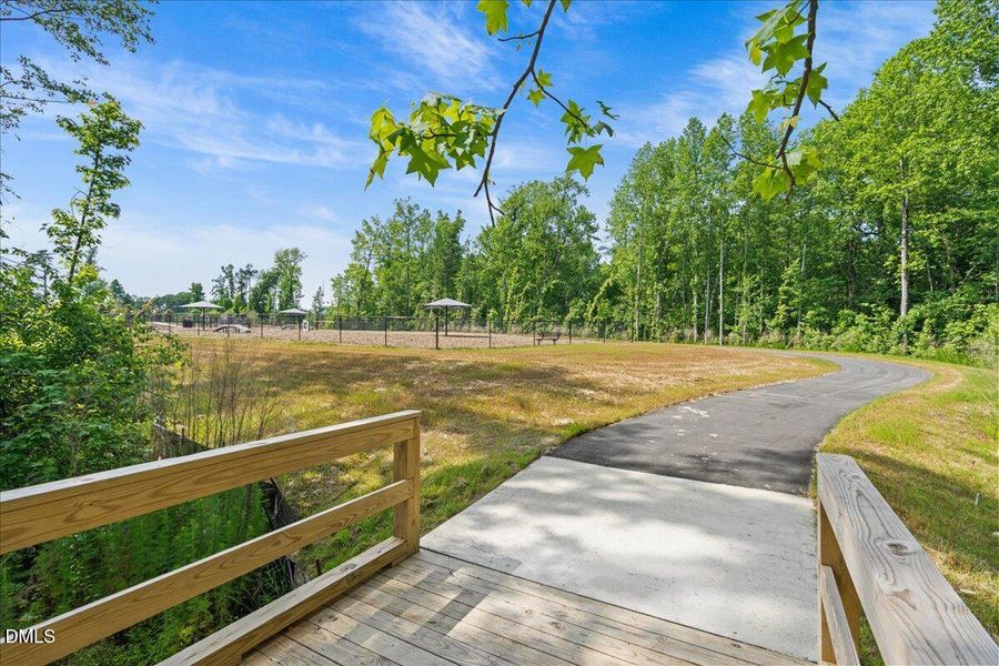 46-DSC01118 46-DSC01118