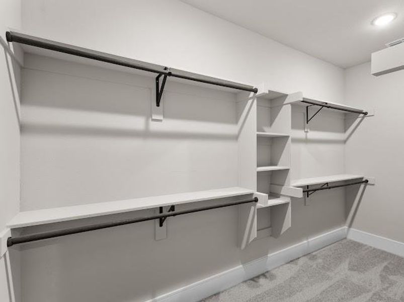 Walk in closet featuring light carpet