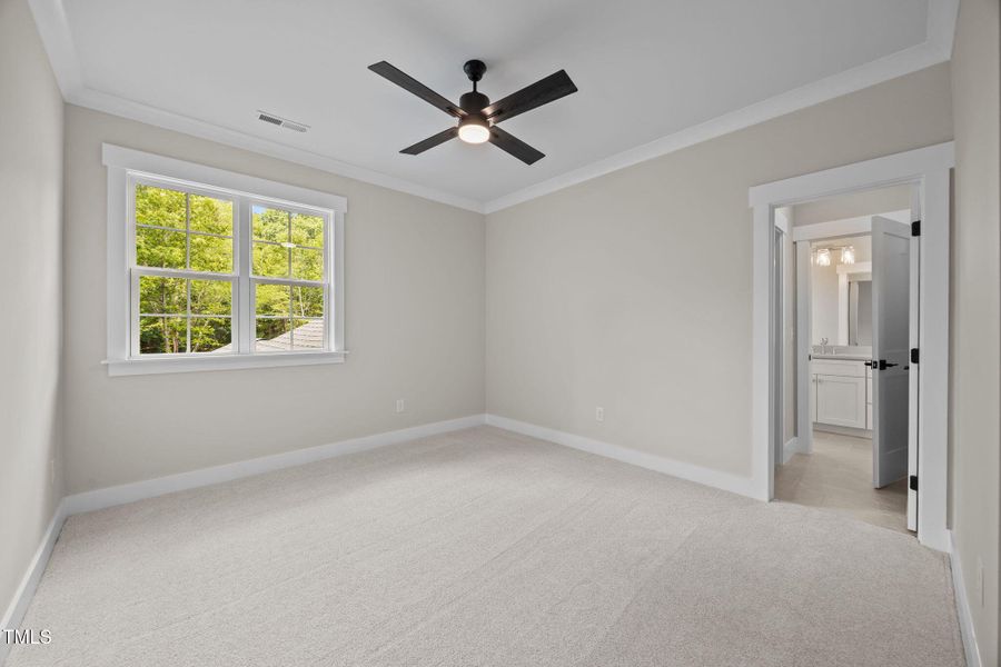 42-web-or-mls-IMG_1699 42-web-or-mls-IMG_1699