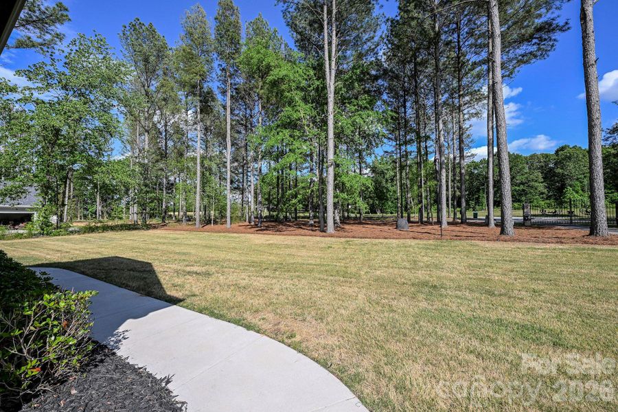 Natural landscape and outdoor views near  in Marshville (Image 32).