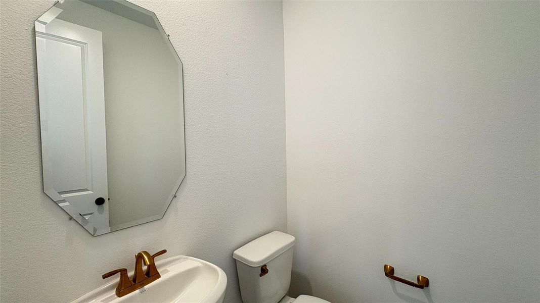 Actual progress of your home. Actual progress of your home.