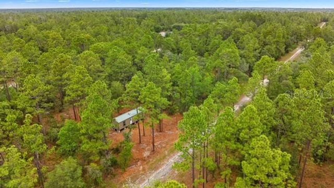 Natural landscape and outdoor views near  in Dunnellon (Image 7).