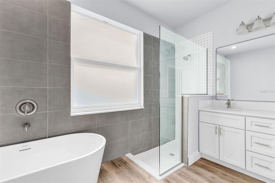 Furnished interior view inside a new home in , Punta Gorda (Image 5). Furnished interior view inside a new home in , Punta Gorda (Image 5).