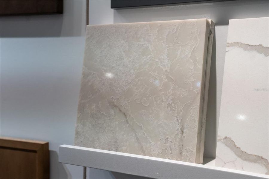 Close-up of interior finishes inside a home in Gracewater at Sarasota, Sarasota (Image 8).