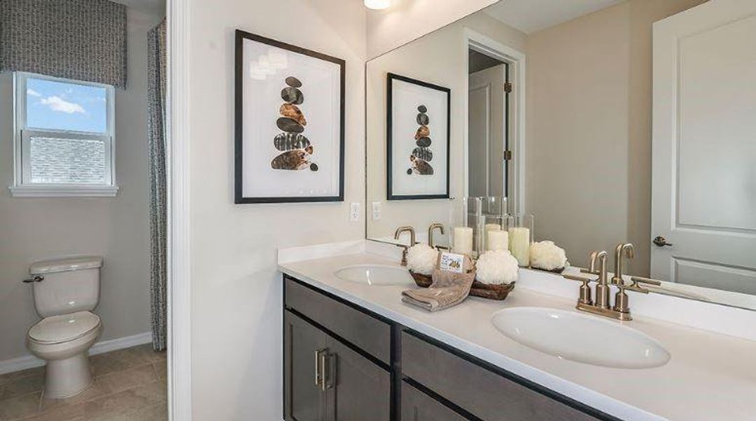 REPRESENTATIVE PHOTOS