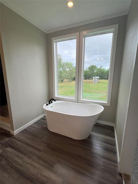 Bathroom featuring a freestanding tub, dark wood-type flooring, and recessed lighting