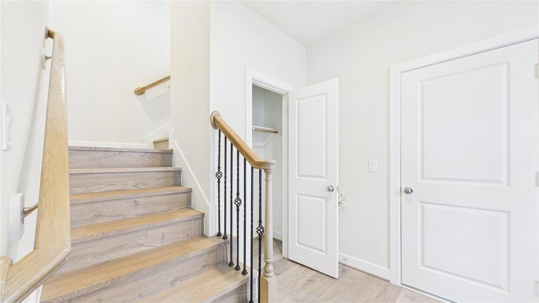 Come on up! Come on up!