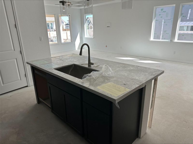 221 Coyote Willow Way ~ Under Construction